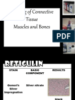 Staining of Connective Tissues