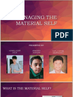 Material Self