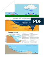 Ecology Report