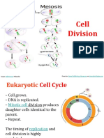 Mitosis-And-Meiosis-Ppt 7781