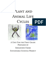 1 Life Cycles FINAL