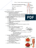 Vascular Occlusion (Toe Gangrene and Toe Ulcers)