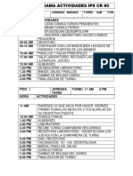 Cronograma Actividades Ips CR 80