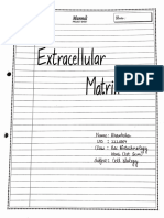 Extracellular Matrix