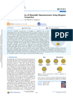 Bimetallic Nanomaterials