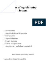 Forms of Agroforestry System