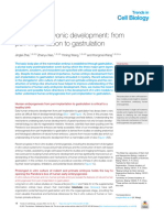 Human Embryonic Development From Peri-Implantation To Gastrulation