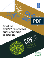 Brief Cop27 Outcomes and Cop28 Eng