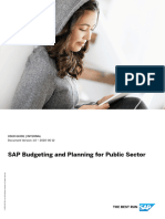 SAP Budgeting and Planning For Public Sector