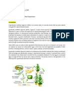 Genetically Modified Organisms