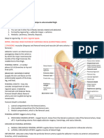 Anatomy 1