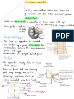 Abdominal Organ - Vermiform Appendix