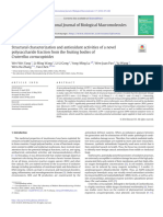 Structural Characterization and Antioxidant Activities of A Novel