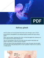 Salivary Gland Disease