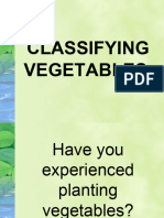 Classifying Vegetables