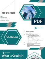 Chapter-4 Other Sources of Credit