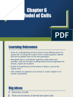 Model of Cells