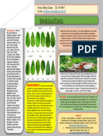 Poster - Medicinal Plants (Rectangle)