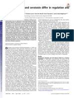 Hashemi Et Al 2012 Brain Dopamine and Serotonin Differ in Regulation and Its Consequences