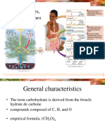 Carbohydrates Int BCH