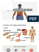 Types of Cells in The Body1