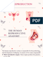 Lesson 6.3 Human Reproduction