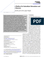 Biohybrid Photonic Platform For Subcellular Stimul