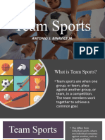 Team Sports