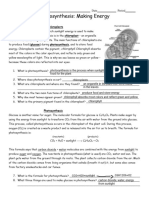 Photosynthesis Worksheet Homework 7th Grade