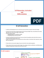 Lecture - B Cell Development