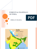 Forest & Mammals of India