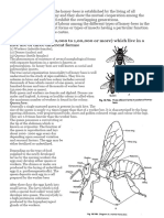 Social Orginzation in Honey Bees