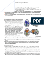 Brain Structure Psychology Chapter2 PDF