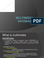 Multimedia Database