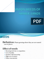 Weeds of Arable Lands-1