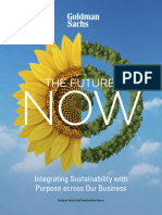 Goldman Sachs 2020 Sustainability Report