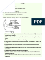 Sound Chapter Notes Grade 8 Ksdgflks G