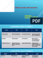 Comparison of Rubric in KENT, BTPB and BBCR