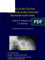 Clavicle AC SC Joints