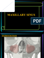 Maxi Sinus Away