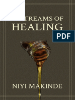 11 Streams of Healing by Niyi Makinde