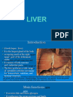 Liver