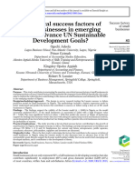 Can Critical Success Factors of Small Businesses in Emerging Markets Advance UN Sustainable Development Goals?