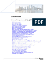 Evpn Features