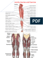 Lower Extremity.