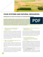 Food Systems Factsheet English