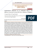 Morphological Adaptation of P. Canaliculata Shell To The Different Ecosystems in Lanao Del Norte, Mindanao, Philippines