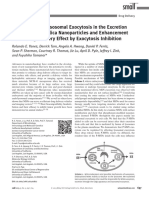 Small - 2012 - Yanes - Involvement of Lysosomal Exocytosis in The Excretion of Mesoporous Silica Nanoparticles and