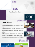 Cascading Style Sheets