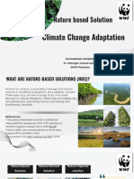 Climate Change and NBS